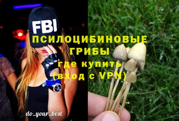 МДПВ Алексеевка