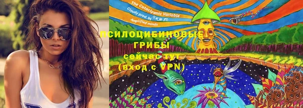 МДПВ Алексеевка