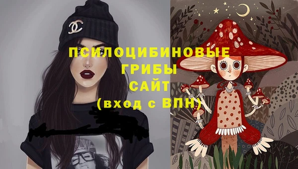 бошки Алзамай