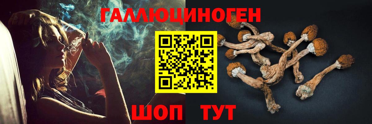 Уссурийск  продажа наркотиков  Вход с VPN  Псилоцибиновые грибы MAGIC MUSHROOMS  Галлюциногенные грибы мицелий 