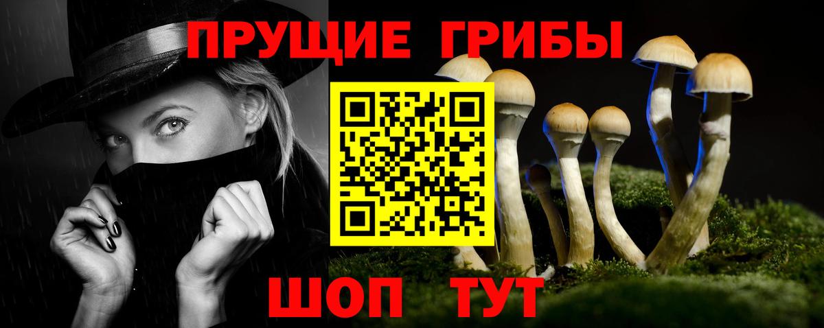 Псилоцибиновые грибы GOLDEN TEACHER Уссурийск